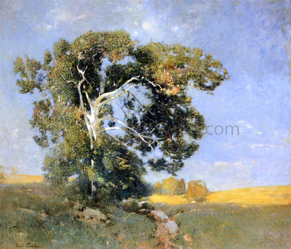  Emil Carlsen Old Sycamore - Canvas Art Print