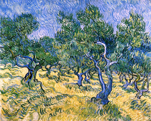  Vincent Van Gogh Olive Grove - Canvas Art Print