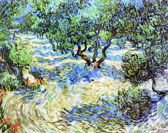  Vincent Van Gogh Olive Grove: Bright Blue Sky - Canvas Art Print