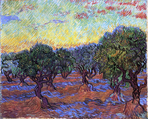  Vincent Van Gogh Olive Grove: Orange Sky - Canvas Art Print
