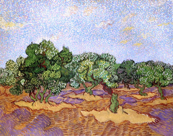  Vincent Van Gogh Olive Grove: Pale Blue Sky - Canvas Art Print