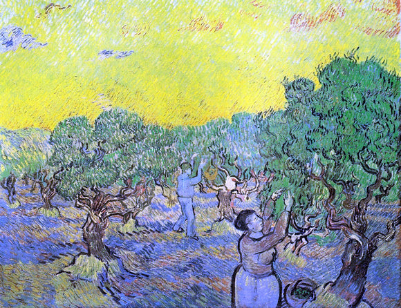  Vincent Van Gogh Olive Grove with Picking Figures - Canvas Art Print