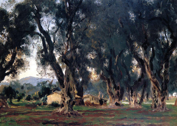  John Singer Sargent Olive Trees at Corfu - Canvas Art Print