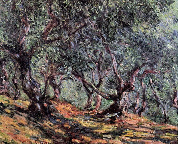  Claude Oscar Monet Olive Trees in Bordighera - Canvas Art Print