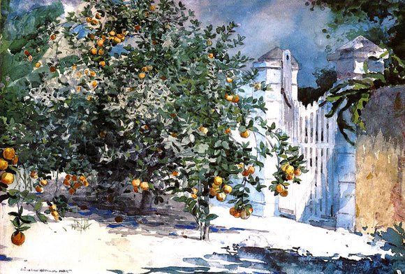  Winslow Homer Orange Tree, Nassau (also known as Orange Trees and Gate) - Canvas Art Print