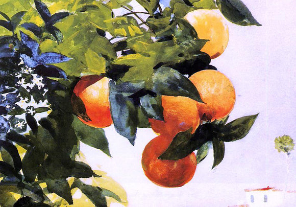  Winslow Homer Oranges on a Branch - Canvas Art Print
