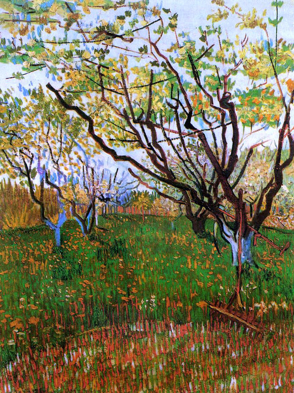  Vincent Van Gogh Orchard in Bloom - Canvas Art Print