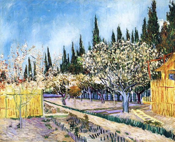  Vincent Van Gogh Orchard Surrounded by Cypresses - Canvas Art Print