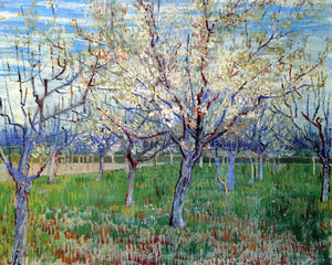  Vincent Van Gogh Orchard with Blossoming Apricot Trees - Canvas Art Print