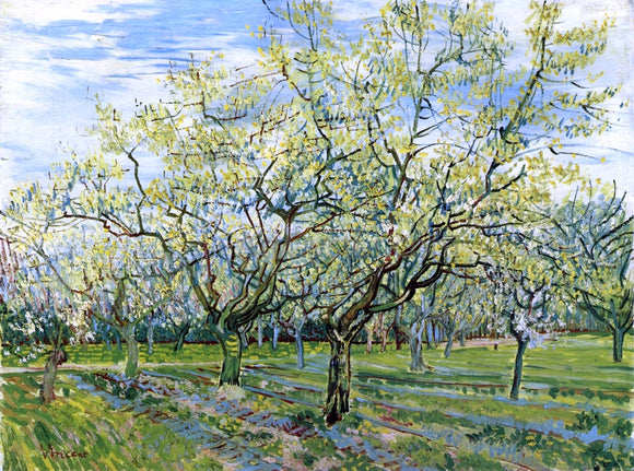  Vincent Van Gogh Orchard with Blossoming Plum Trees - Canvas Art Print