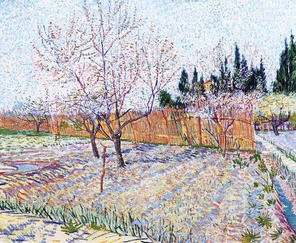  Vincent Van Gogh Orchard with Peach Trees in Blossom - Canvas Art Print