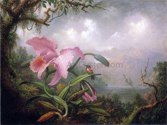  Martin Johnson Heade Orchid and Hummingbird - Canvas Art Print
