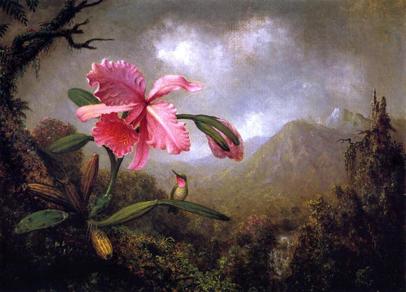  Martin Johnson Heade Orchid and Hummingbird near a Mountain Waterfall - Canvas Art Print