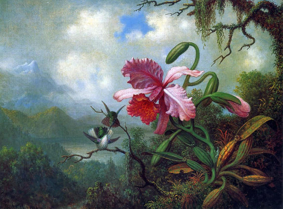  Martin Johnson Heade Orchid and Hummingbirds near a Mountain Lake - Canvas Art Print