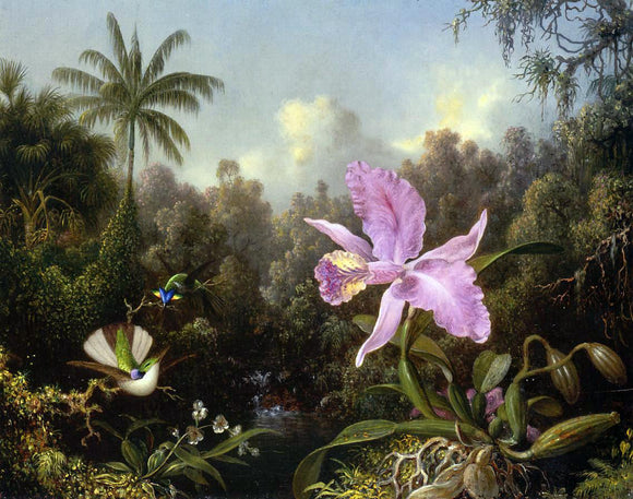  Martin Johnson Heade Orchid and Two Hummingburds - Canvas Art Print