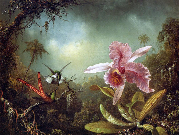  Martin Johnson Heade Orchid with Two Hummingbirds - Canvas Art Print