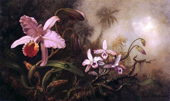 Martin Johnson Heade Orchids and a Beetle - Canvas Art Print