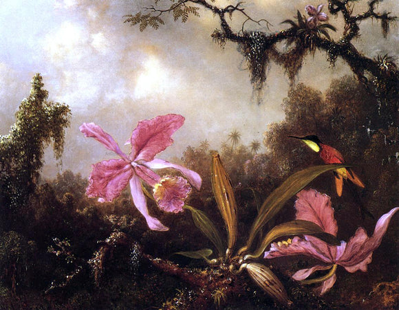  Martin Johnson Heade Orchids and Crimson Topaz Hummingbird - Canvas Art Print