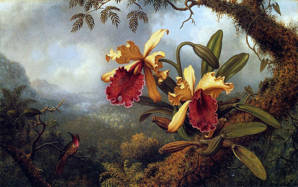  Martin Johnson Heade Orchids and Hummingbird - Canvas Art Print