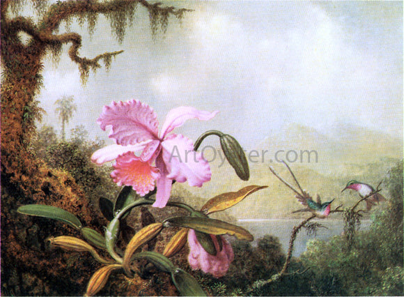  Martin Johnson Heade Orchids and Hummingbirds near a Mountain Lake - Canvas Art Print