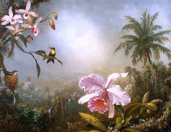  Martin Johnson Heade Orchids, Nesting Hummingbirds and a Butterfly - Canvas Art Print