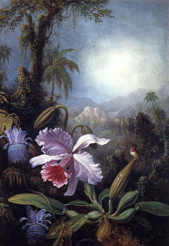  Martin Johnson Heade Orchids, Passion Flowers and Hummingbird - Canvas Art Print