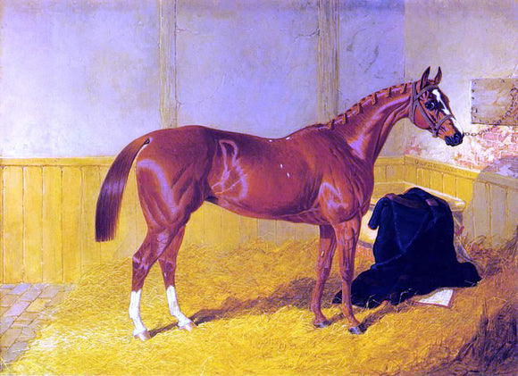  Sr. John Frederick Herring Our Nell, A Bay Racehorse in a Stable - Canvas Art Print