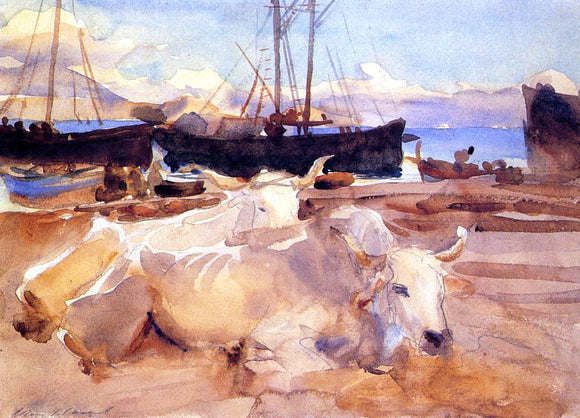  John Singer Sargent An Oxen on the Beach at Baia - Canvas Art Print
