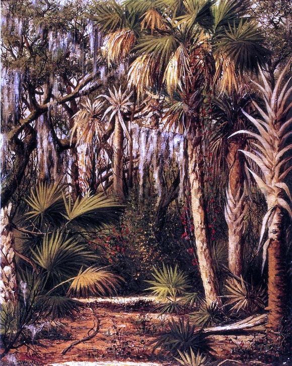 William Aiken Walker Palm Hammock with Epiphytes - Canvas Art Print