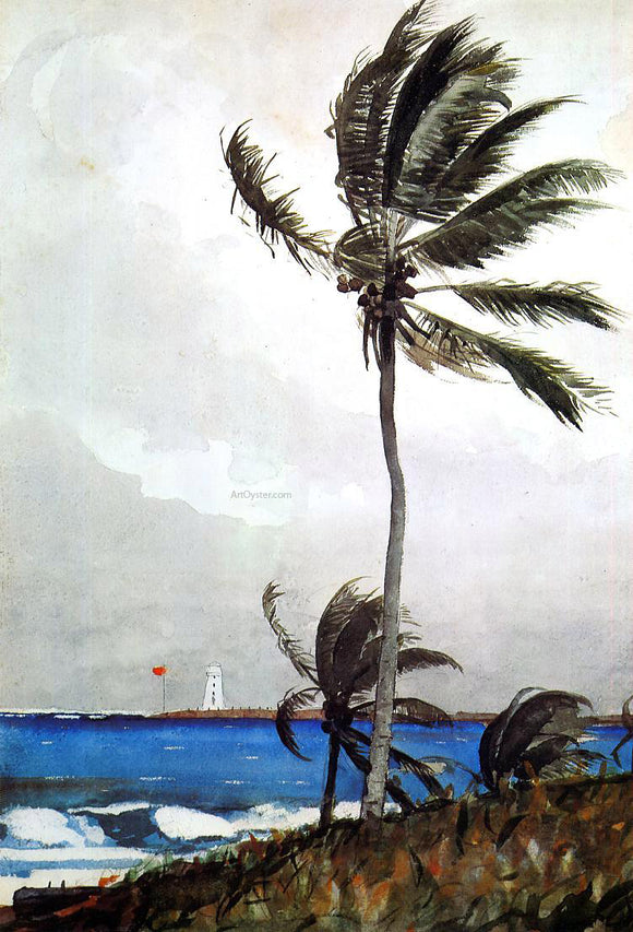  Winslow Homer Palm Tree, Nassau - Canvas Art Print