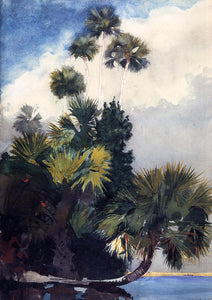  Winslow Homer Palm Trees, Florida - Canvas Art Print