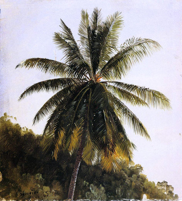  Frederic Edwin Church Palm Trees, West Indies - Canvas Art Print
