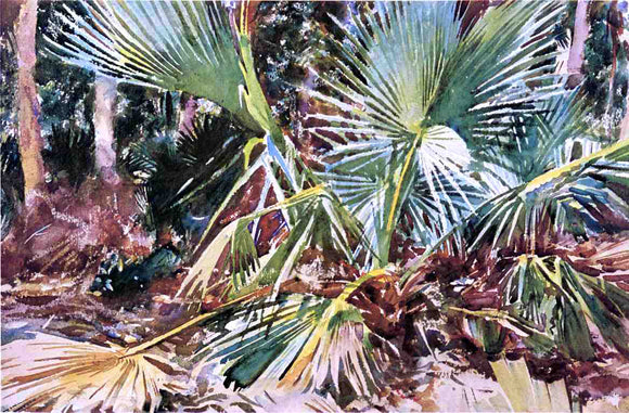  John Singer Sargent Palmettos, Florida - Canvas Art Print