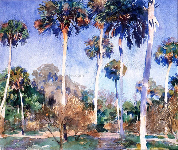  John Singer Sargent Palms - Canvas Art Print