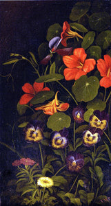  Levi Wells Prentice Pansies and Nasturtiums - Canvas Art Print