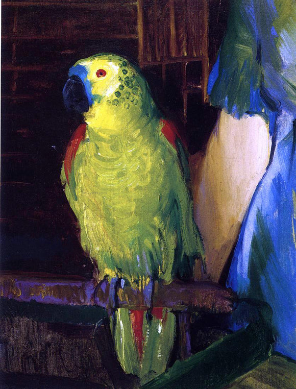  George Wesley Bellows A Parrot - Canvas Art Print
