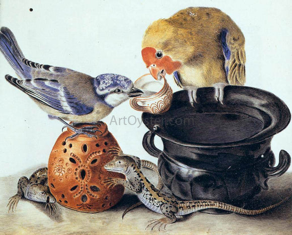  Luisa Vitelli A Parrot, Blue Tit, Two Lizards, and Vases - Canvas Art Print