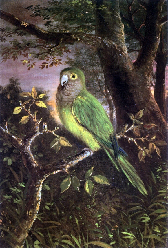  John OBrien Inman A Parrot on a Branch - Canvas Art Print