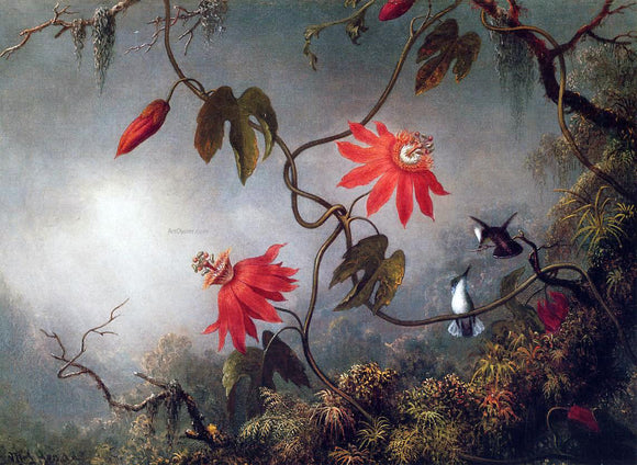  Martin Johnson Heade Passion Flowers and Hummingbirds - Canvas Art Print