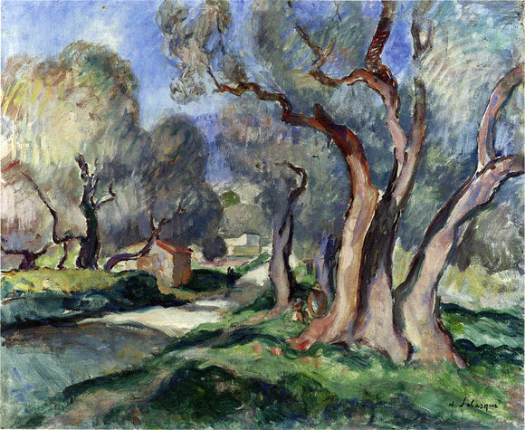  Henri Lebasque Path Among the Olive Trees - Canvas Art Print