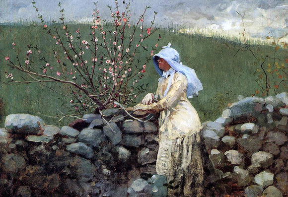  Winslow Homer Peach Blossoms - Canvas Art Print