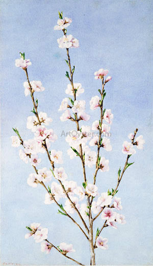  John William Hill Peach Blossoms - Canvas Art Print
