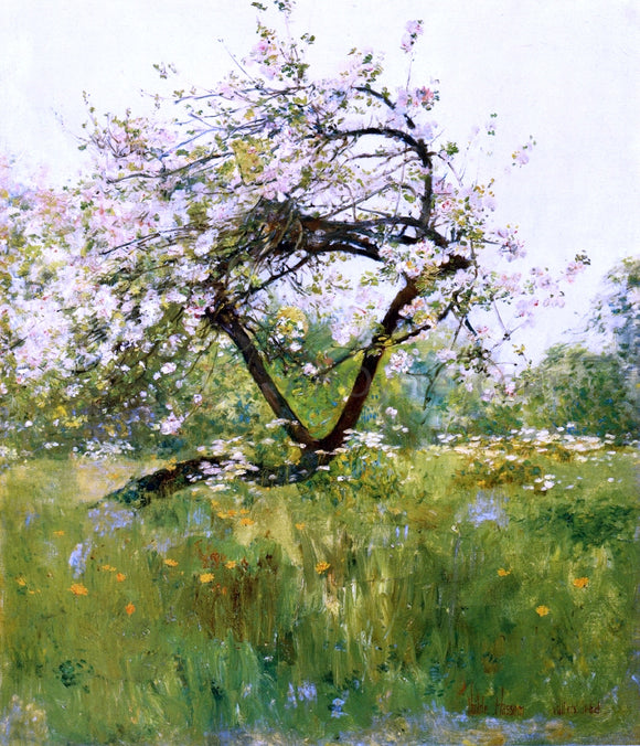  Frederick Childe Hassam Peach Blossoms - Villiers-le-Bel - Canvas Art Print
