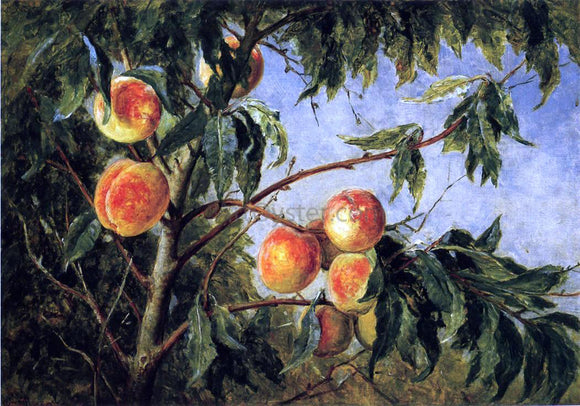  Thomas Worthington Whittredge Peaches - Canvas Art Print