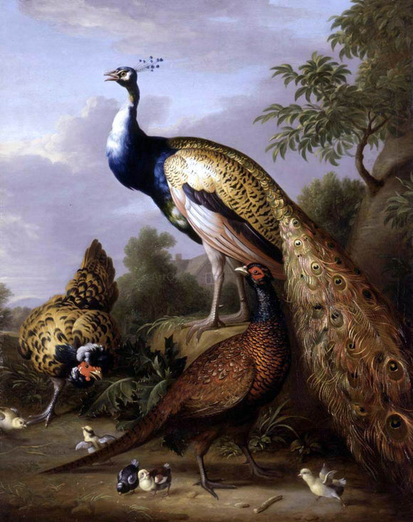  Tobias Stranover Peacock, Hen and Cock Pheasant in a Landscape - Canvas Art Print