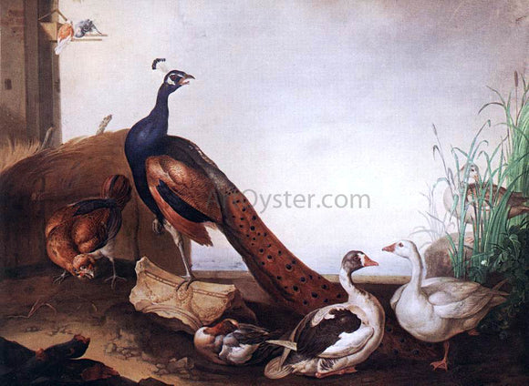  Jakab Bogdany Peacock with Geese and Hen - Canvas Art Print