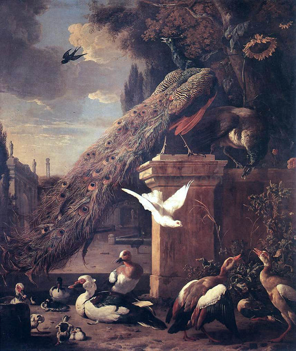  Melchior D'Hondecoeter Peacocks and Ducks - Canvas Art Print