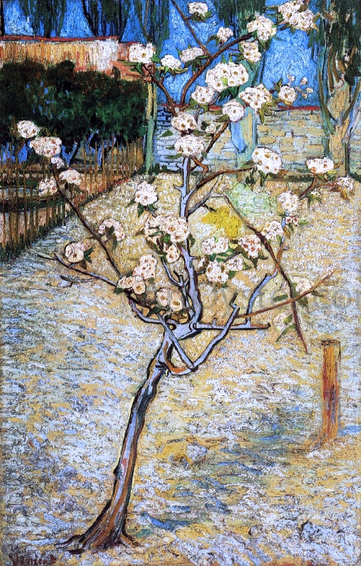  Vincent Van Gogh Pear Tree in Blossom - Canvas Art Print