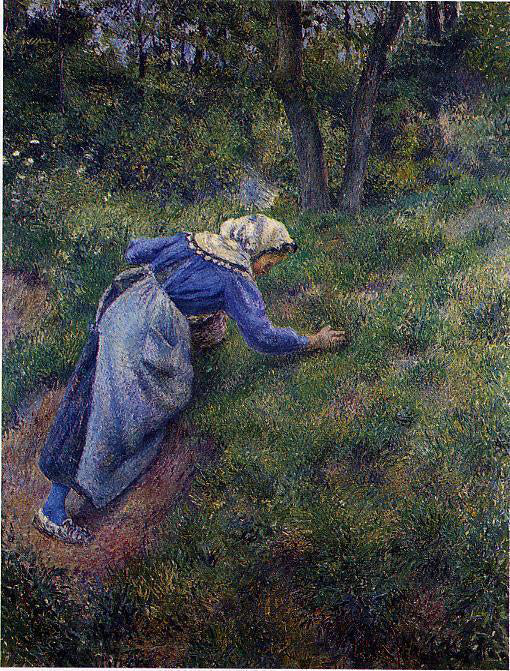  Camille Pissarro Peasant Gathering Grass - Canvas Art Print