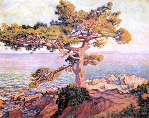  Theo Van Rysselberghe A Pine by the Mediterranean Sea - Canvas Art Print